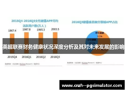 英超联赛财务健康状况深度分析及其对未来发展的影响
