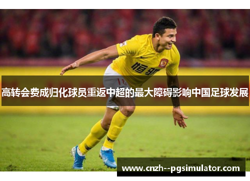 高转会费成归化球员重返中超的最大障碍影响中国足球发展