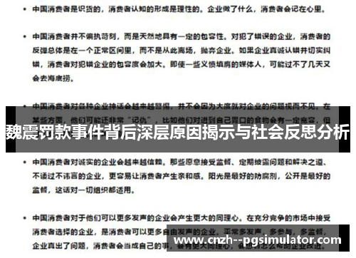 魏震罚款事件背后深层原因揭示与社会反思分析